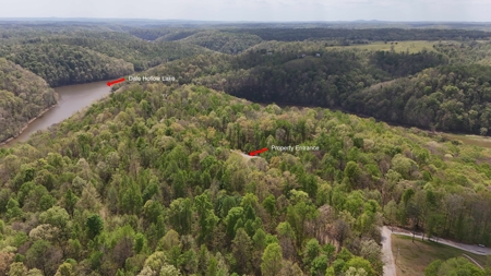 Rustic Cabin Retreat Near Dale Hollow Lake - image 19