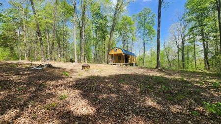 Rustic Cabin Retreat Near Dale Hollow Lake - image 1