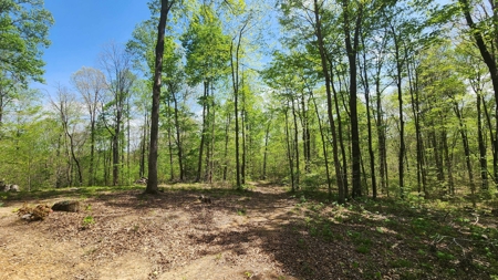 Rustic Cabin Retreat Near Dale Hollow Lake - image 12