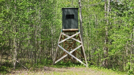 Rustic Cabin Retreat Near Dale Hollow Lake - image 11