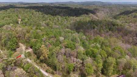 Rustic Cabin Retreat Near Dale Hollow Lake - image 22