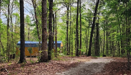 Rustic Cabin Retreat Near Dale Hollow Lake - image 6