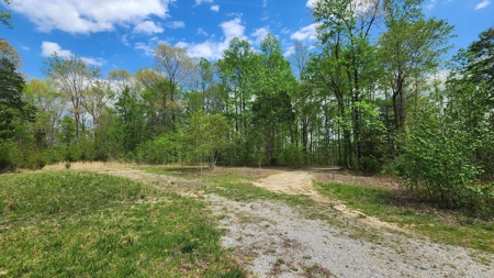 Rustic Cabin Retreat Near Dale Hollow Lake - image 16