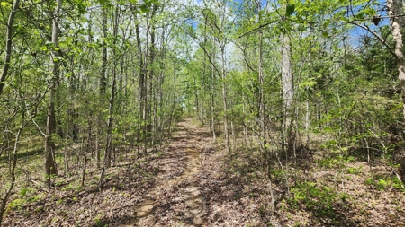 Rustic Cabin Retreat Near Dale Hollow Lake - image 15