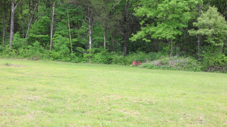 Land And Buildings For Sale In North Central Arkansas - image 7