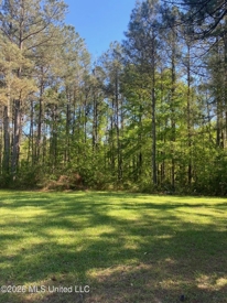 Listing 217
