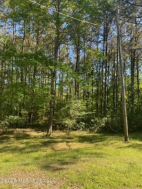 Listing 217