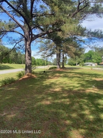 Listing 217