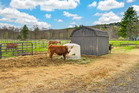 Beautiful Victorian Home with 5704 sq ft with Barn on 8.98 Acres - image 10