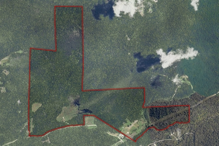 279 Acres of Land with 2 Cabins and a Large Barn with New Floor - image 11