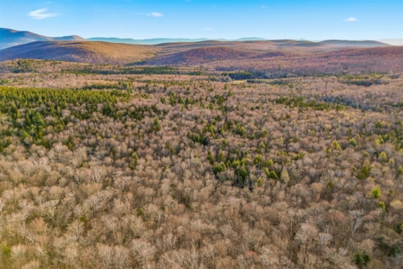 279 Acres of Land with 2 Cabins and a Large Barn with New Floor - image 10