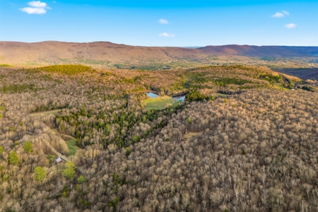 279 Acres of Land with 2 Cabins and a Large Barn with New Floor - image 6