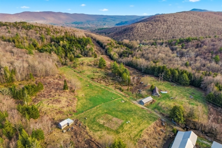 279 Acres of Land with 2 Cabins and a Large Barn with New Floor - image 7
