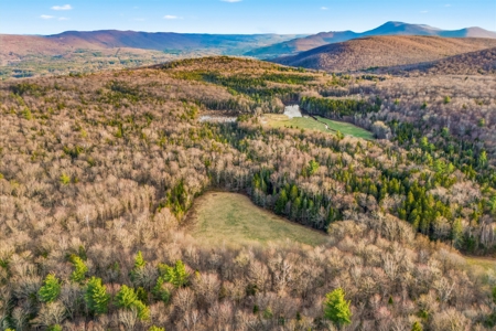 279 Acres of Land with 2 Cabins and a Large Barn with New Floor - image 9