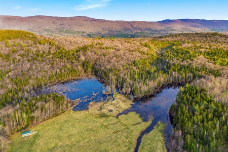 279 Acres of Land with 2 Cabins and a Large Barn with New Floor - image 5