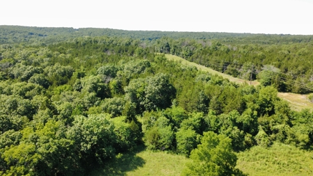 178 Acres of Premier Recreational Paradise St Clair County MO - image 17