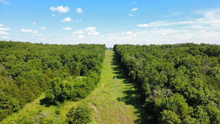 178 Acres of Premier Recreational Paradise St Clair County MO - image 12