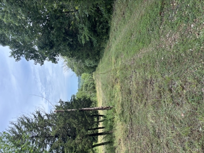 178 Acres of Premier Recreational Paradise St Clair County MO - image 3