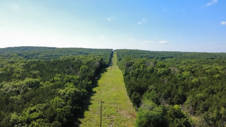 178 Acres of Premier Recreational Paradise St Clair County MO - image 18