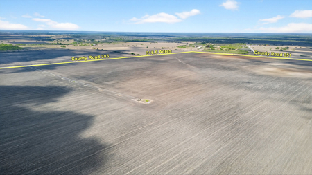 416± Acre Bee County Farm and  Prime Homesite TX - image 8