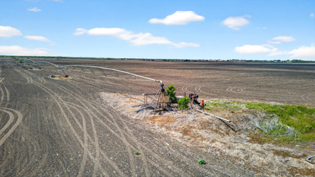 416± Acre Bee County Farm and  Prime Homesite TX - image 27