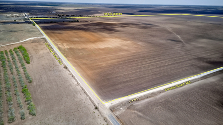 416± Acre Bee County Farm and  Prime Homesite TX - image 17