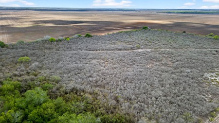 416± Acre Bee County Farm and  Prime Homesite TX - image 28