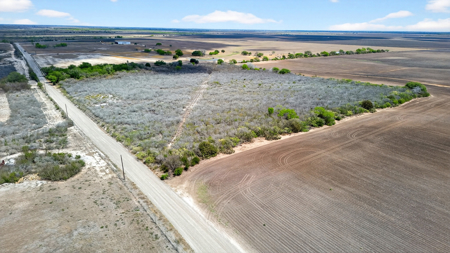 416± Acre Bee County Farm and  Prime Homesite TX - image 29