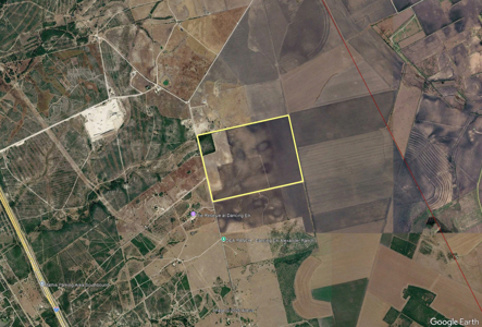 416± Acre Bee County Farm and  Prime Homesite TX - image 5