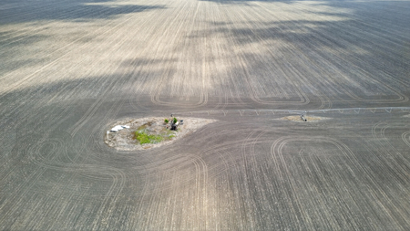 416± Acre Bee County Farm and  Prime Homesite TX - image 24