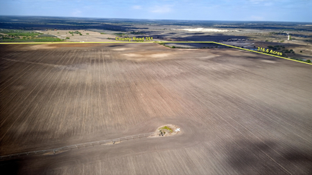 416± Acre Bee County Farm and  Prime Homesite TX - image 9
