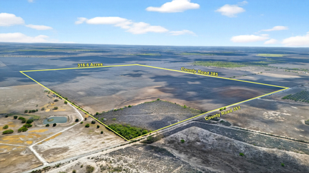 416± Acre Bee County Farm and  Prime Homesite TX - image 3