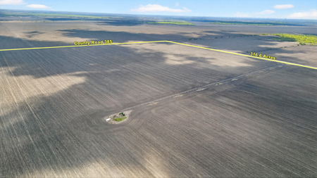 416± Acre Bee County Farm and  Prime Homesite TX - image 11