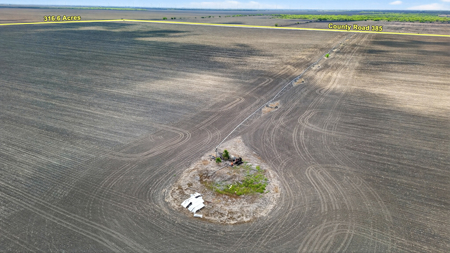 416± Acre Bee County Farm and  Prime Homesite TX - image 13