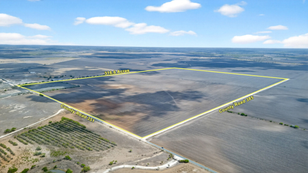 416± Acre Bee County Farm and  Prime Homesite TX - image 2