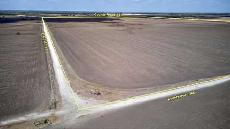 416± Acre Bee County Farm and  Prime Homesite TX - image 16