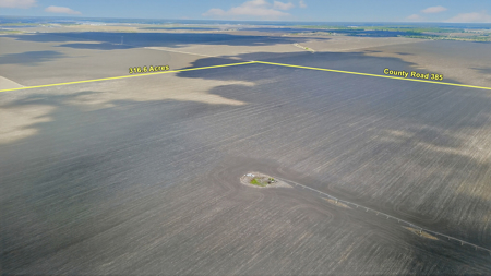 416± Acre Bee County Farm and  Prime Homesite TX - image 12