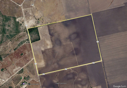 416± Acre Bee County Farm and  Prime Homesite TX - image 4