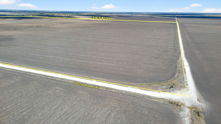 416± Acre Bee County Farm and  Prime Homesite TX - image 15