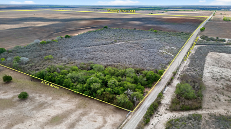 416± Acre Bee County Farm and  Prime Homesite TX - image 22