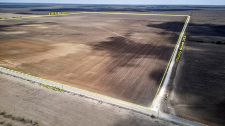 416± Acre Bee County Farm and  Prime Homesite TX - image 18