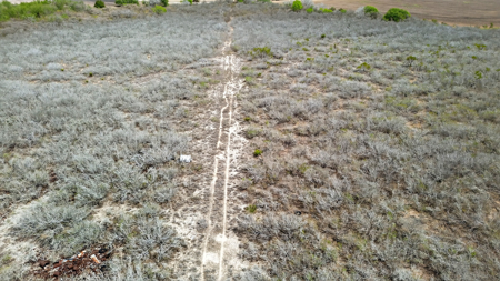 416± Acre Bee County Farm and  Prime Homesite TX - image 30