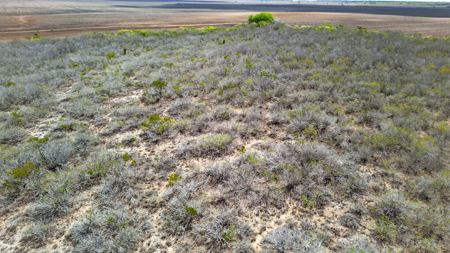 416± Acre Bee County Farm and  Prime Homesite TX - image 31