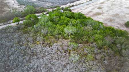 416± Acre Bee County Farm and  Prime Homesite TX - image 32