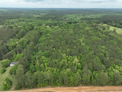 8.04± Acres Wooded Land for Sale in Avinger TX - image 15