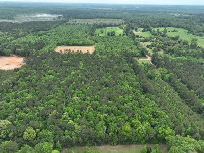 8.04± Acres Wooded Land for Sale in Avinger TX - image 16