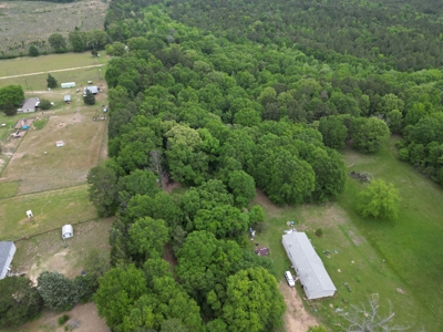 23± acres in Cass County McLeod area mixed timber property - image 7
