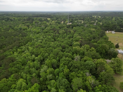 23± acres in Cass County McLeod area mixed timber property - image 11