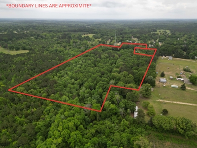 23± acres in Cass County McLeod area mixed timber property - image 1