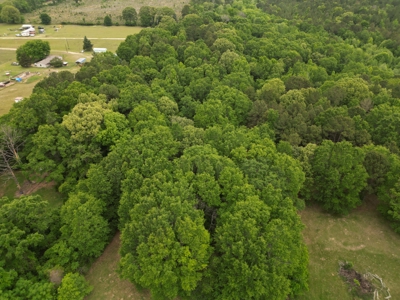 23± acres in Cass County McLeod area mixed timber property - image 9